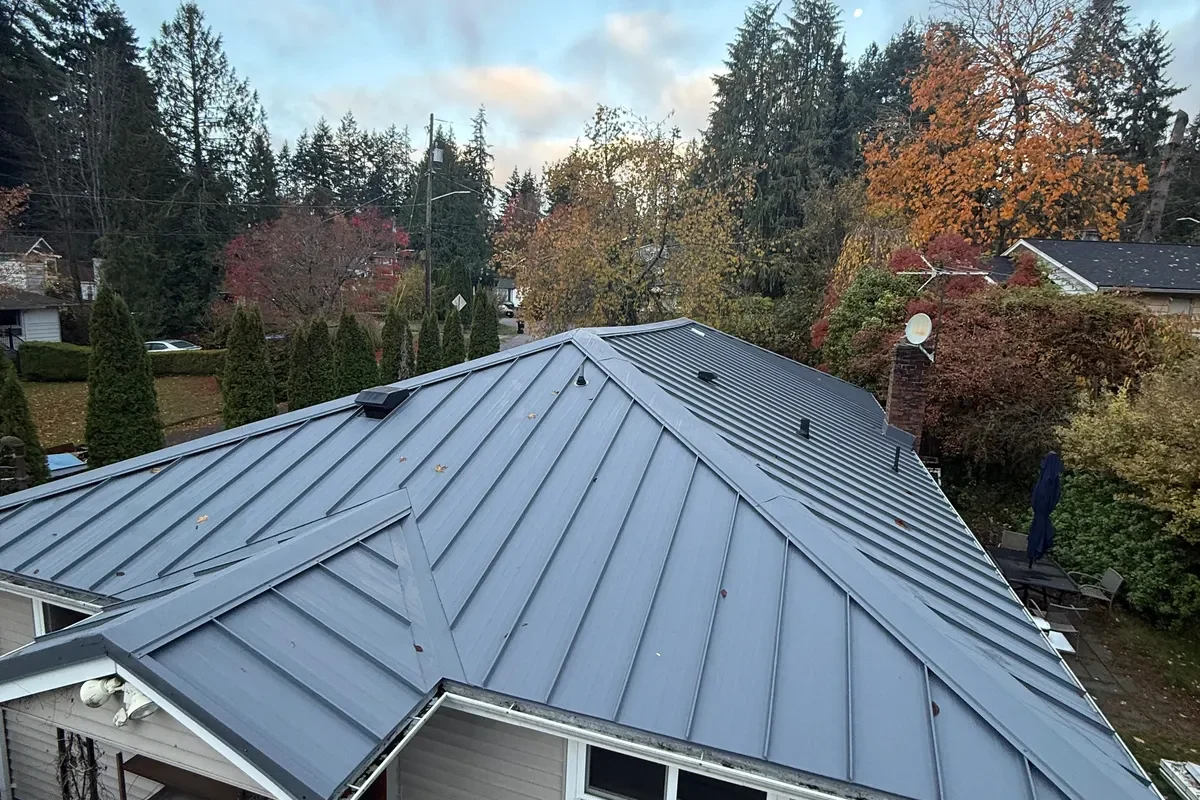 Metal Roofing