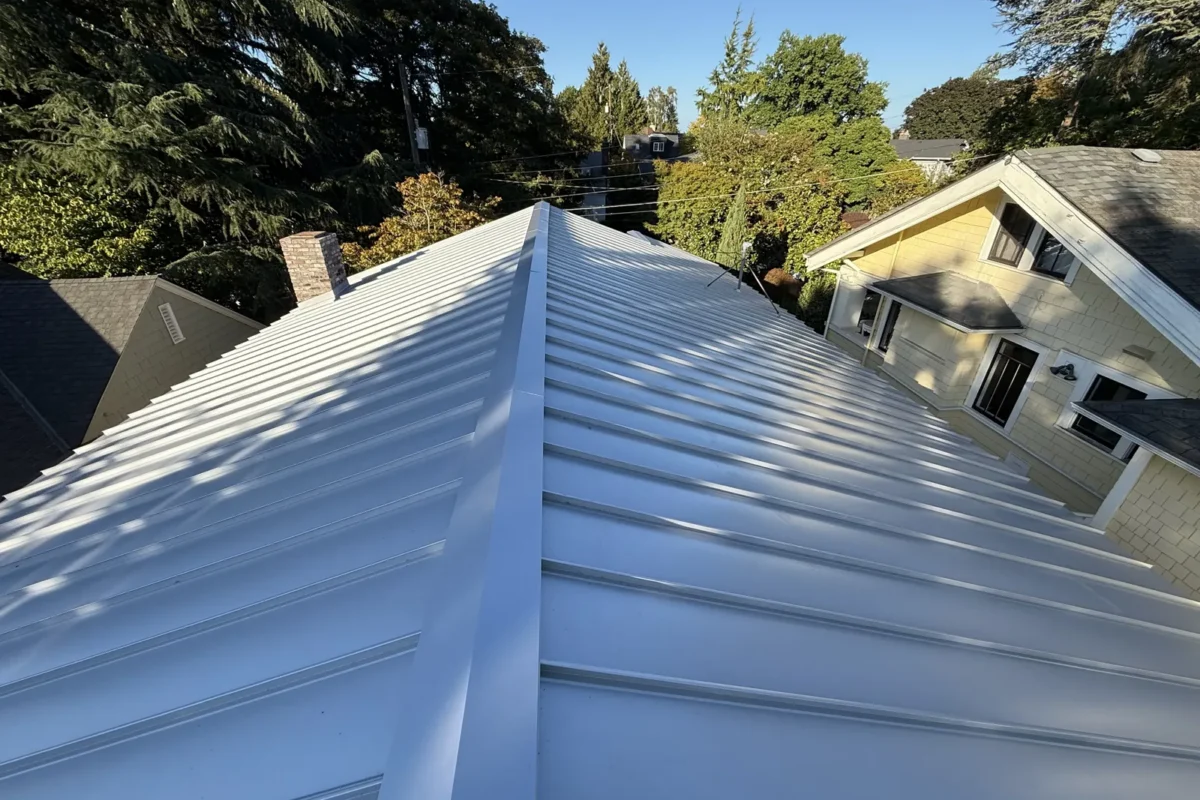 Metal Roof Project