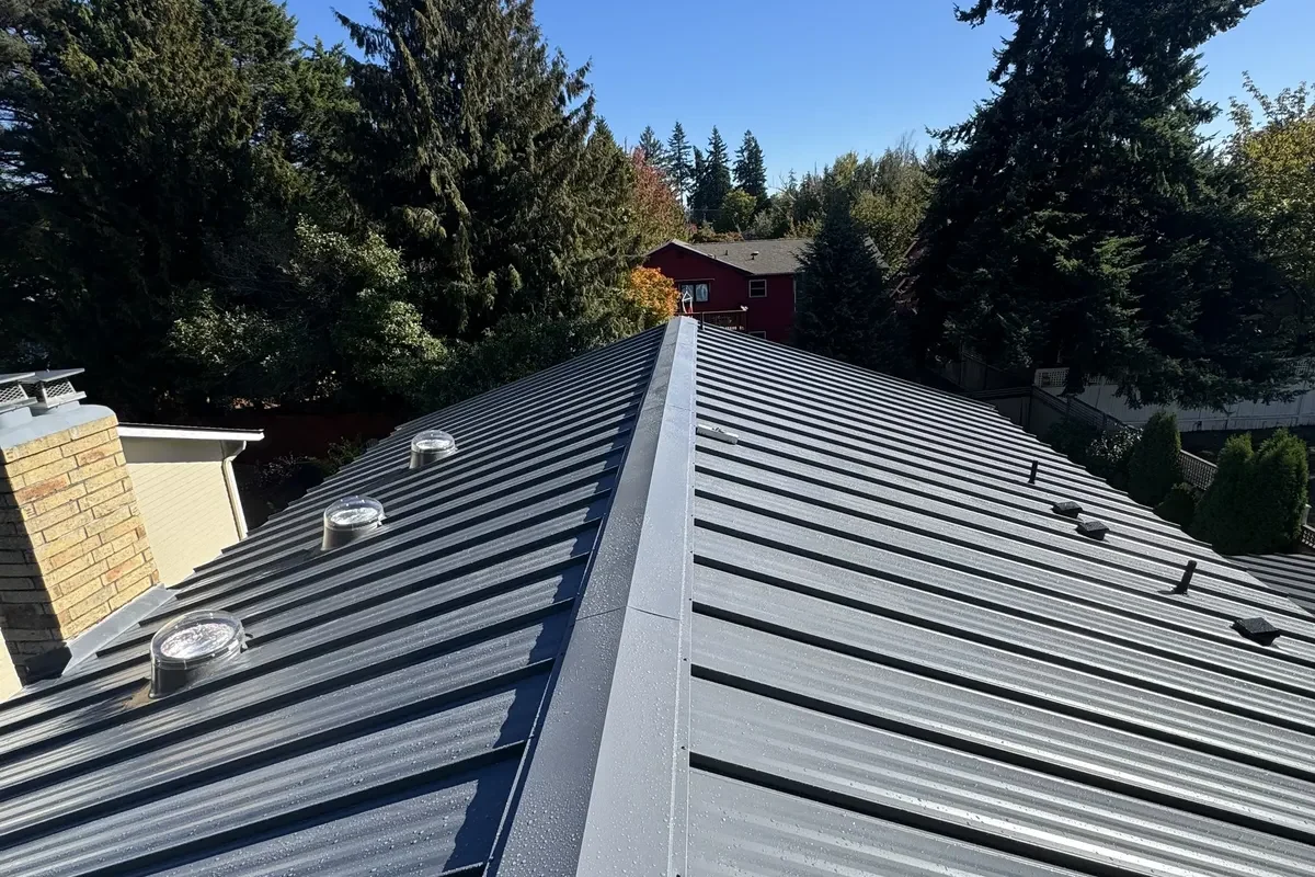 Metal Roof Replacement