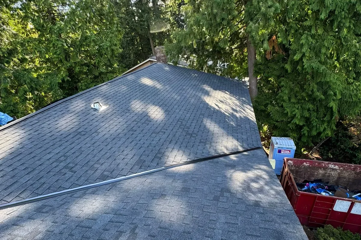 Shingle Roof Replacement