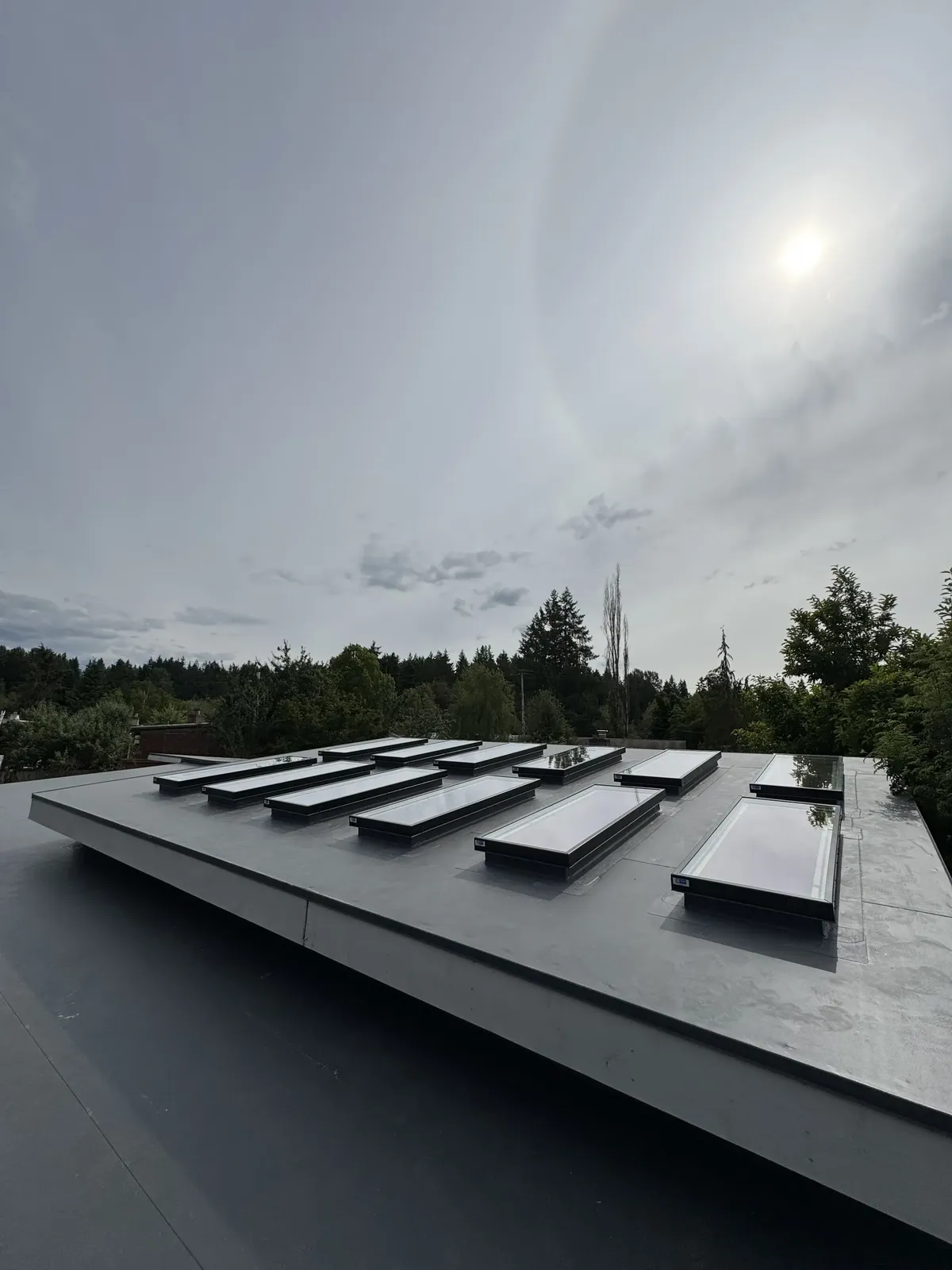 Commercial Skylights - ALEXBURD Roofing