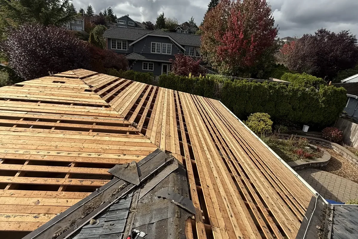Shingle Roof Upgrade
