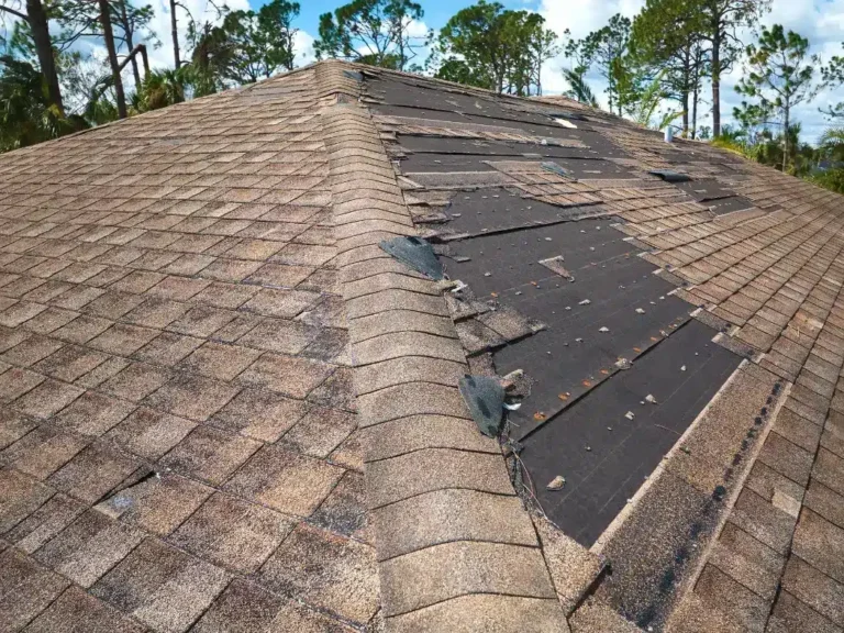 Shingle Roof Repair