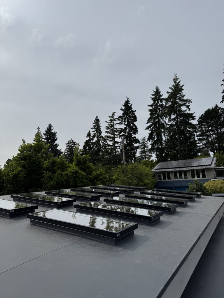 Commercial Skylights